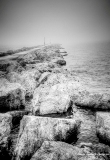DSC_5881.jpg