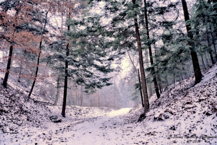 04MI0119.jpg