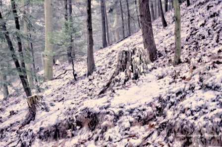 05MI0119.jpg