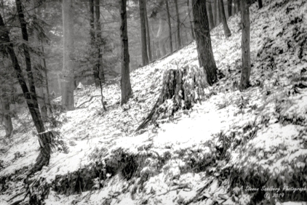 06MI0119.jpg