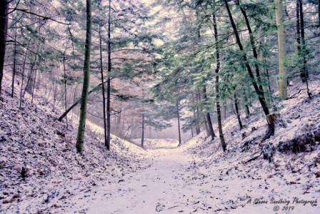 07MI0119.jpg