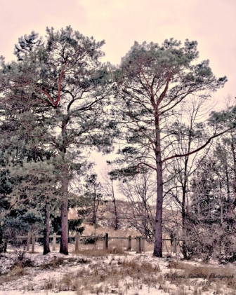 20MI0119.jpg
