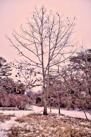 21MI0119.jpg