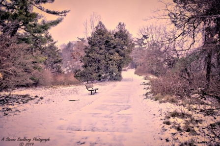 23MI0119.jpg