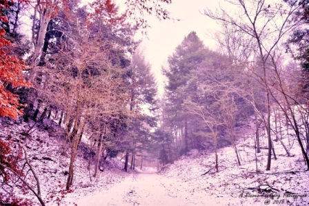 27MI0119.jpg