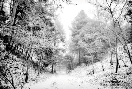 28MI0119.jpg