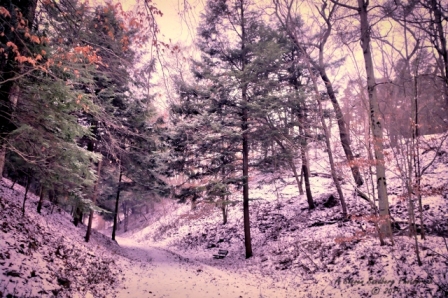 29MI0119.jpg