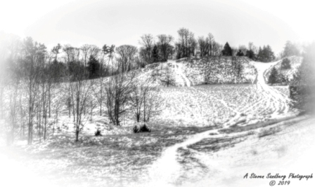 35MI0119.jpg