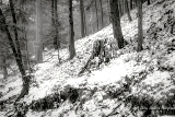 06MI0119.jpg