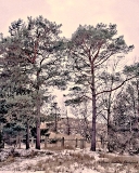 20MI0119.jpg