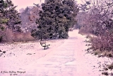24MI0119.jpg