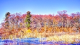 39MI0119.jpg