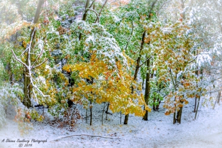 DSC_6892.jpg