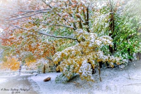DSC_6893.jpg