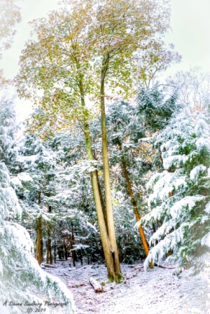 DSC_6907.jpg