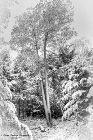 DSC_6908.jpg