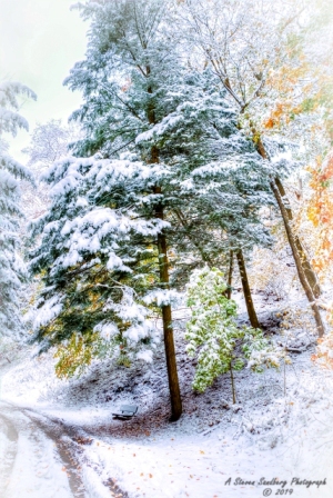 DSC_6909.jpg