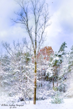 DSC_6924.jpg