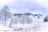 DSC_6887.jpg