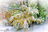 DSC_6894.jpg