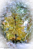 DSC_6895.jpg
