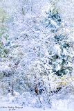 DSC_6901.jpg