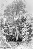 DSC_6908.jpg