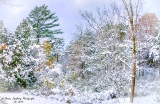 DSC_6923.jpg