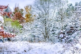 DSC_6926.jpg