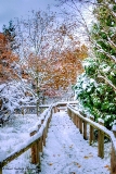 DSC_6928.jpg