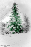 DSC_6944.jpg