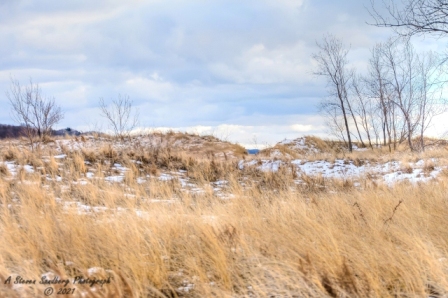 DSC_7592a.jpg