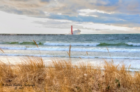 DSC_7605a.jpg