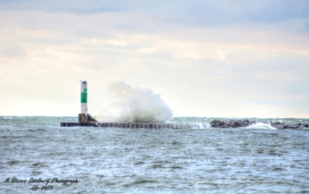 DSC_7626a.jpg