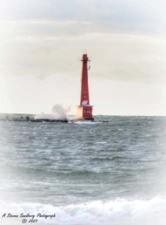 DSC_7634a.jpg