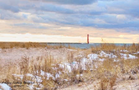 DSC_7655a.jpg