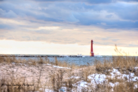 DSC_7662a.jpg