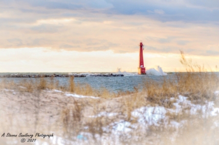 DSC_7665a.jpg