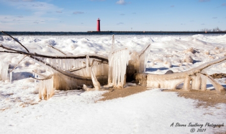 DSC_7675.jpg