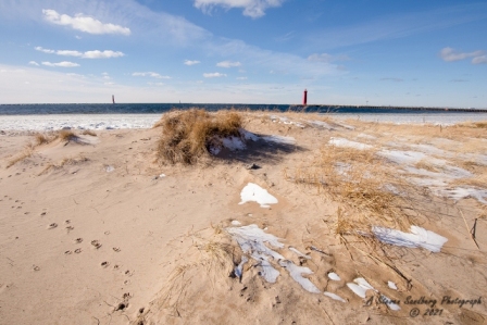 DSC_7695.jpg