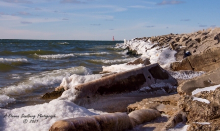 DSC_7710.jpg