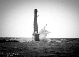 DSC_7564.jpg