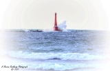 DSC_7585a.jpg