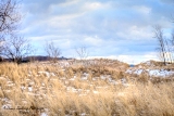 DSC_7591a.jpg