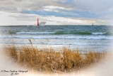 DSC_7602a.jpg