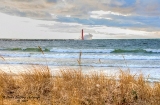 DSC_7605a.jpg