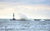DSC_7626a.jpg