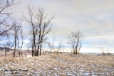 DSC_7646a.jpg
