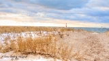 DSC_7652a.jpg