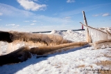 DSC_7686.jpg